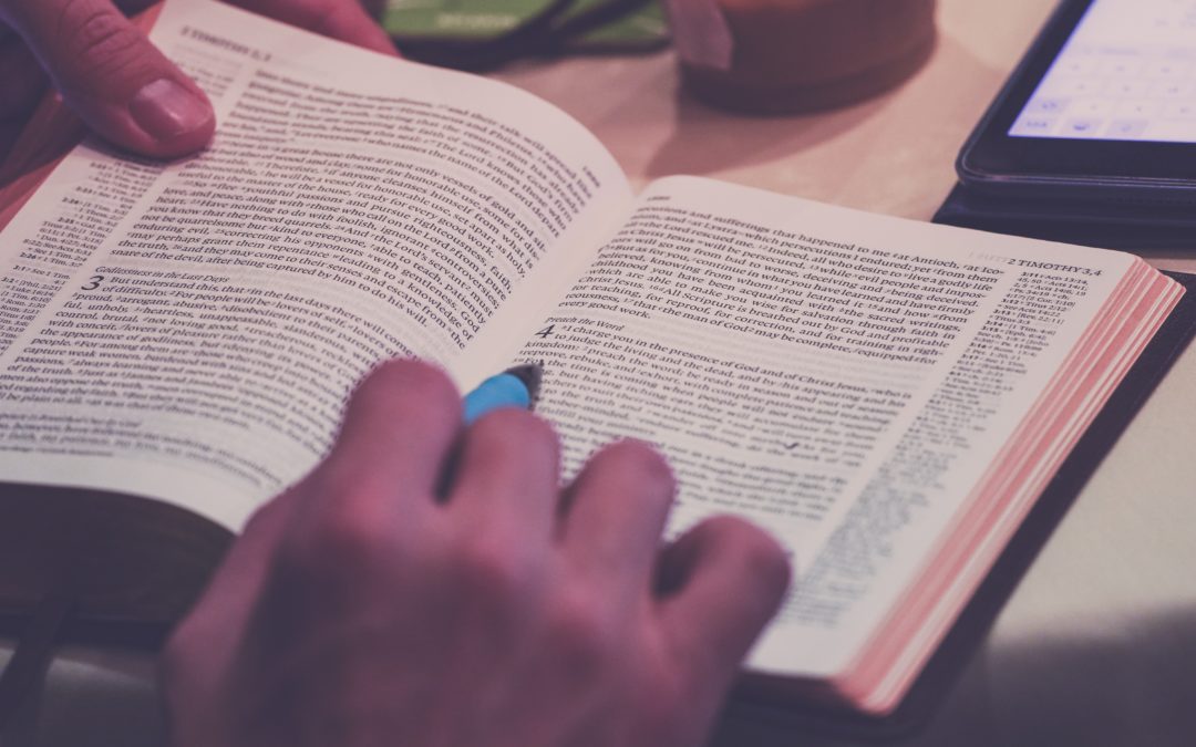 La Biblia de principio a fin. Una guía de lectura para hoy