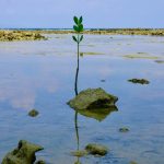 Lord, increase our faith keymini-WBtF5fFXM88-unsplash