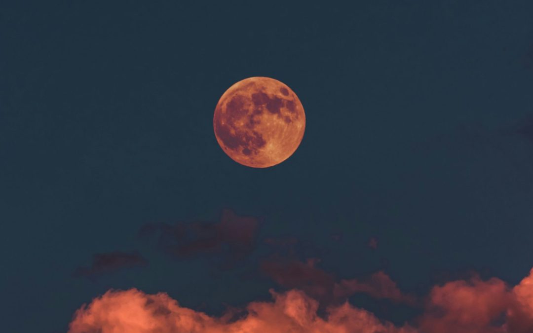 In His Days, Justice shall flourish and Peace till the moon falls