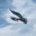 kerim-serdar-kutbulak-am-IYaXupy4-unsplash